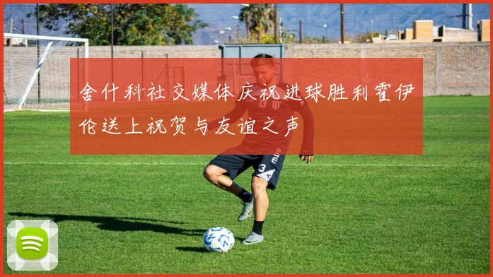 舍什科社交媒体庆祝进球胜利霍伊伦送上祝贺与友谊之声