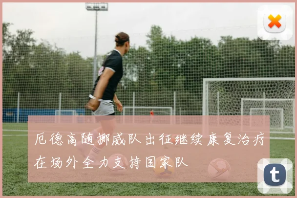 厄德高随挪威队出征继续康复治疗在场外全力支持国家队