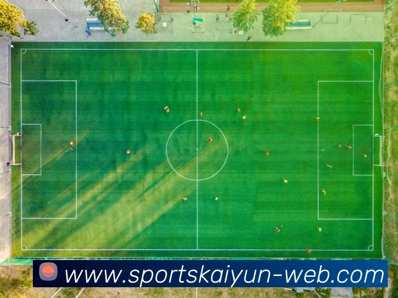 开云体育APP 封面图